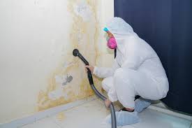 Best Residential Mold Inspection & Testing  in Troy, NC